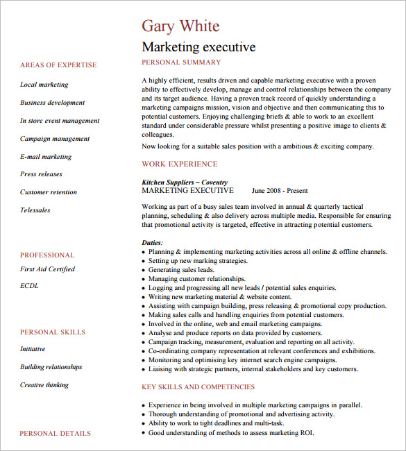 24 Best Sample Executive Resume Templates - WiseStep