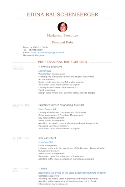 marketing executive resume sample