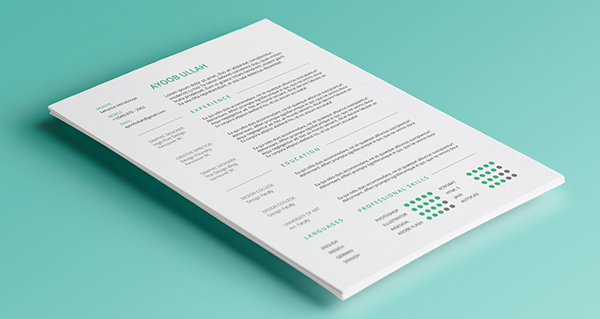 modern resume examples