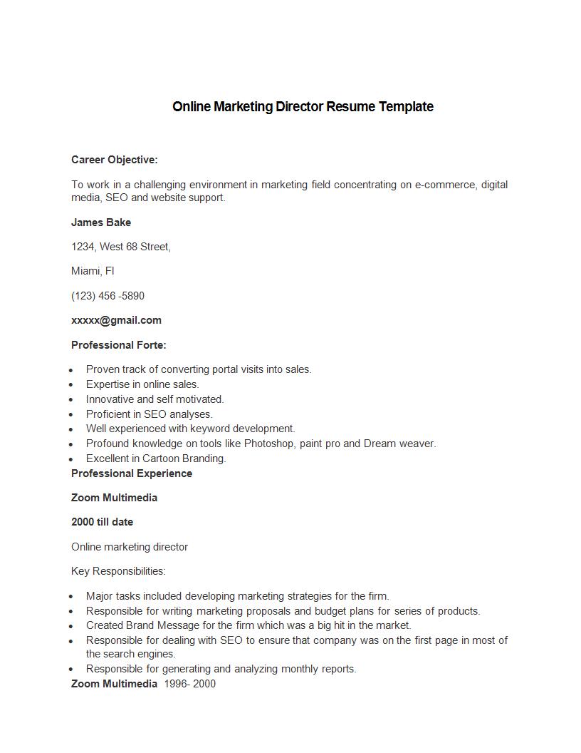 online marketing director resume