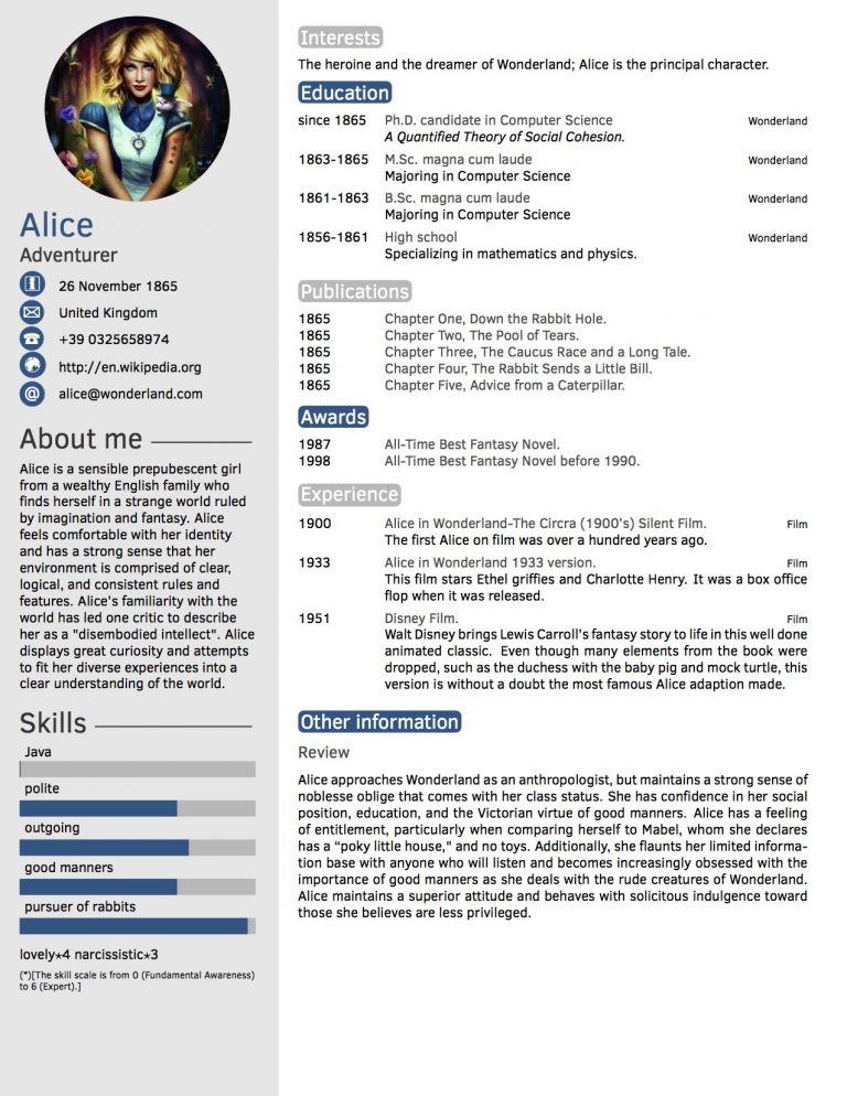 CV in Tabular Form – 18 Tabular Resume Format Templates CV in Tabular Form – 18 Tabular Resume Format Templates