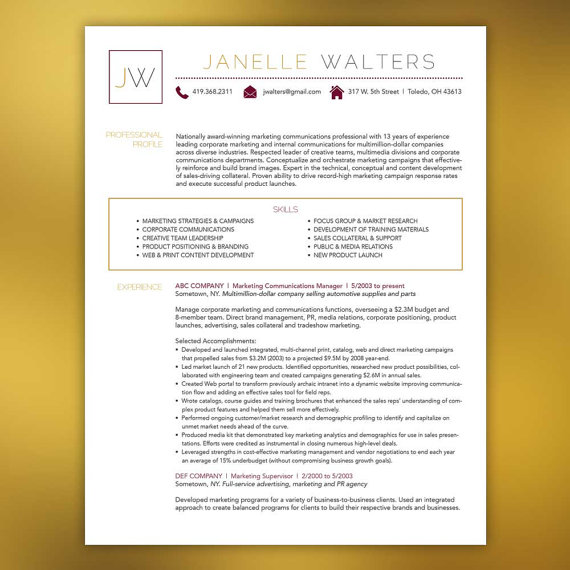 professional cv format