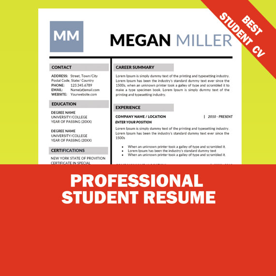 professional internship resume