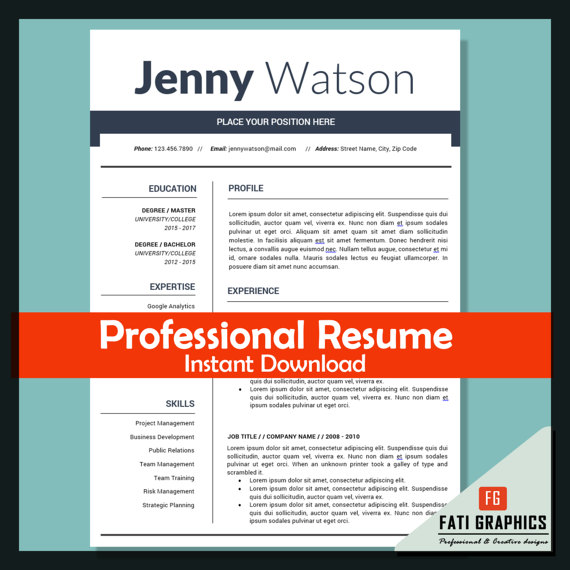 professional marketing resume