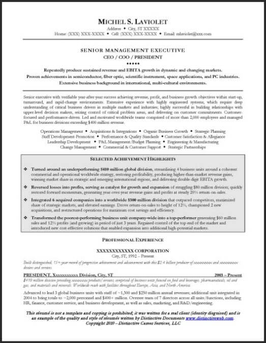 sample ceo cv