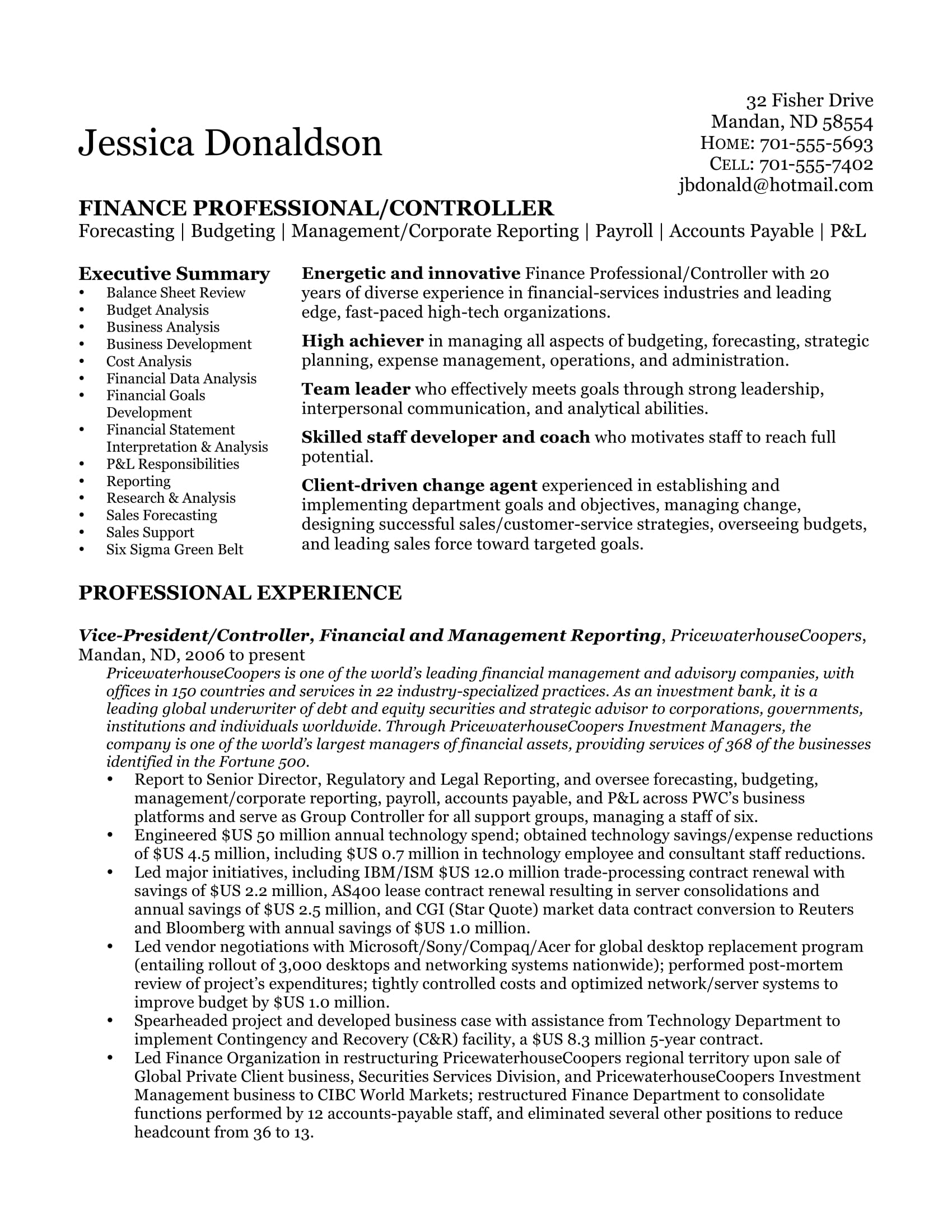 24 Best Sample Executive Resume Templates WiseStep