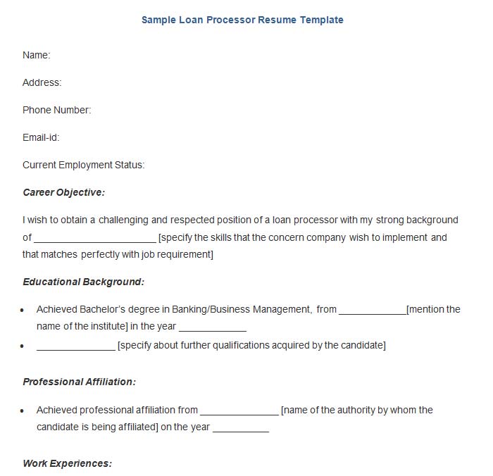 sample loan processor resume