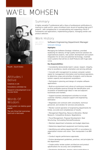 30 Best Developer Software Engineer Resume Templates Wisestep