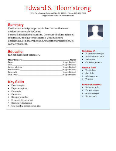 student cv template tabular form