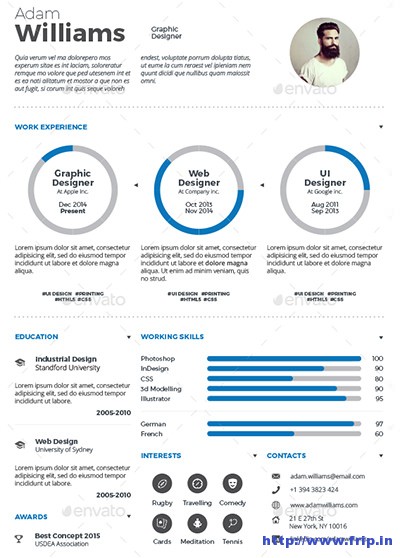 infographic resume executive