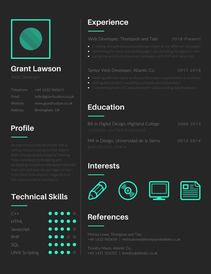 web developer resume format