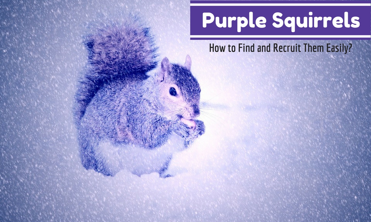 Purple Squirrels