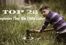 Top 28 Companies That Use Child Labor Still ! Companies That Use Child Labor