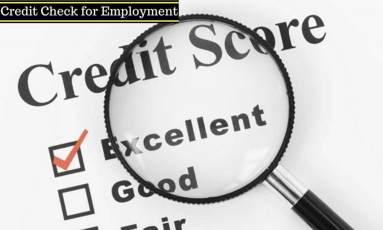 Credit Check for Employment: 5 Tips to Protect Your Business Credit Check for Employment: 5 Tips to Protect Your Business