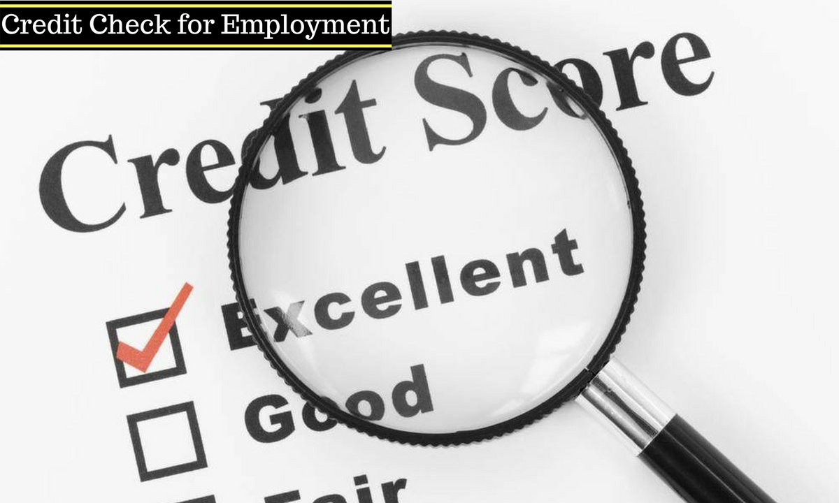 Credit Check for Employment