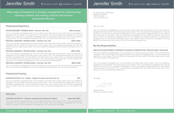 professional cv template