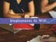 What is Employment At Will? Pros and Cons Employment At Will