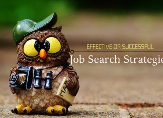 20 Effective or Successful Job Search Strategies & Techniques Job Search Strategies