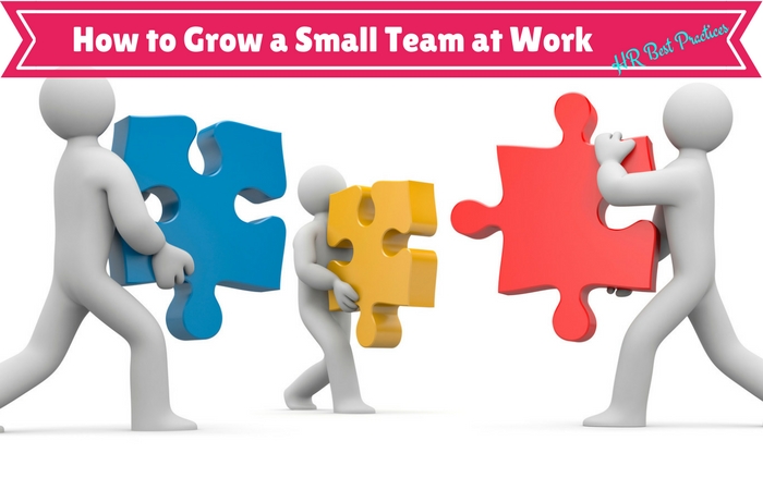 How to Grow a Small Team at Work the Right Way? - Wisestep