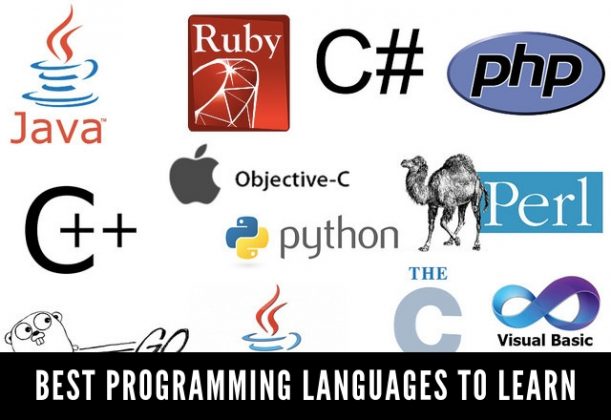 What is the Best programming Language to Learn? - Wisestep