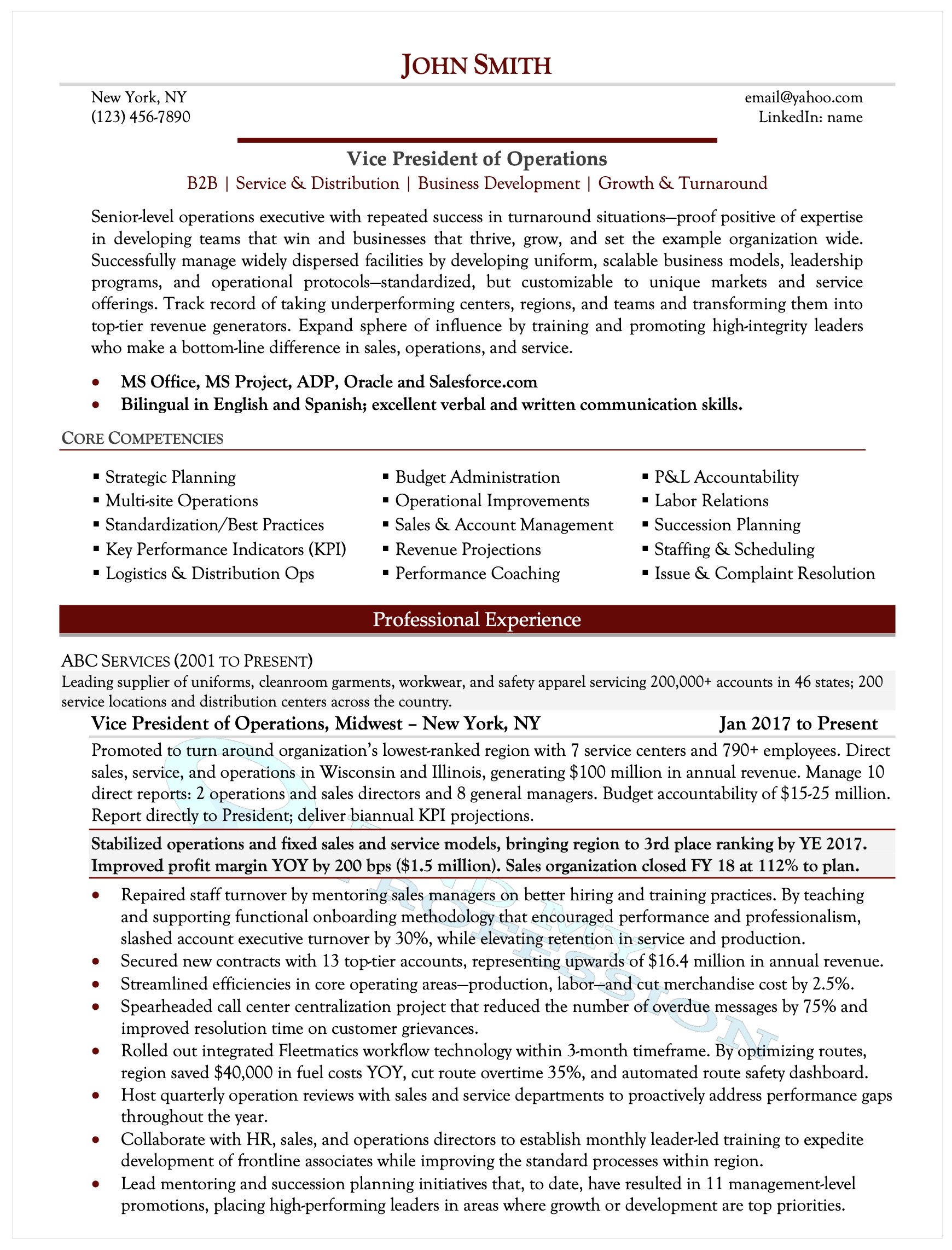 executive summary examples for resume