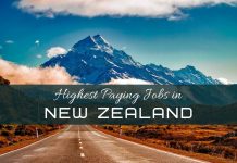 What are the Highest Paying Jobs in New Zealand Highest Paying Jobs in New Zealand