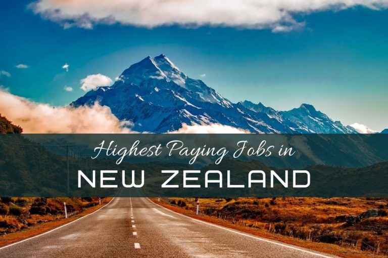 What are the Highest Paying Jobs in New Zealand Wisestep